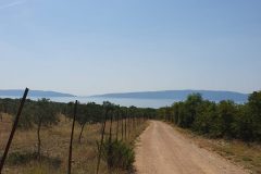 20230825_121625-scaled