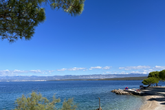 IMG_9018-e1702814583947